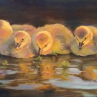 Painting created by Heidi Reeves - Fine Artist
