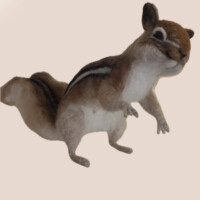 Wool Sculpture by Heidi Reeves - Fine Artist