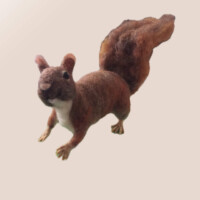 Wool Sculpture by Heidi Reeves - Fine Artist