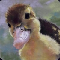 Painting created by Heidi Reeves - Fine Artist