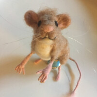 Wool Sculpture by Heidi Reeves - Fine Artist