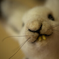 Wool Sculpture by Heidi Reeves - Fine Artist