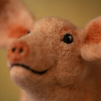 Wool Sculpture by Heidi Reeves - Fine Artist