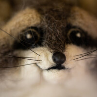 Wool Sculpture by Heidi Reeves - Fine Artist