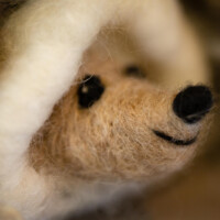 Wool Sculpture by Heidi Reeves - Fine Artist