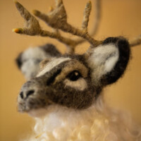 Wool Sculpture by Artist Heidi Reeves